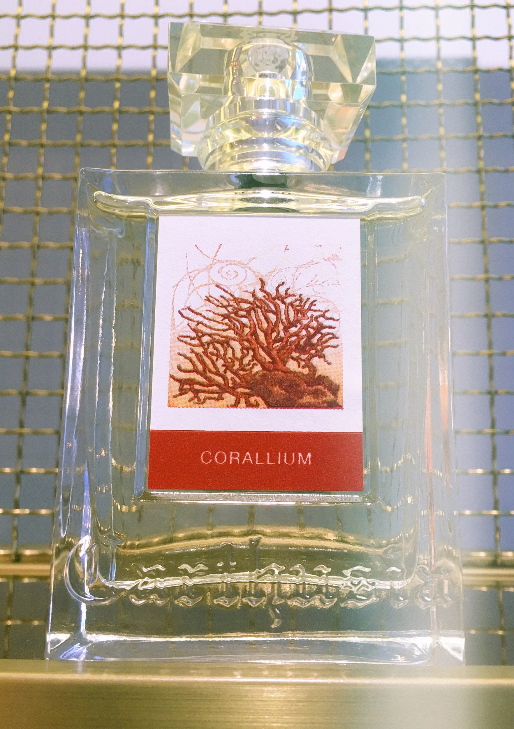 corallium