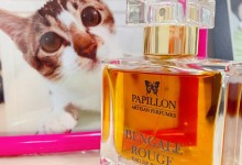 Papillon Artisan Perfumes 第 1 章：angelique / anubis / tobacco rose / dryad / bengale rouge